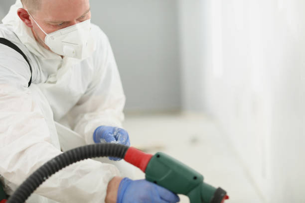 istockphoto 1366871758 612x612 istockphoto 1366871758 612x612